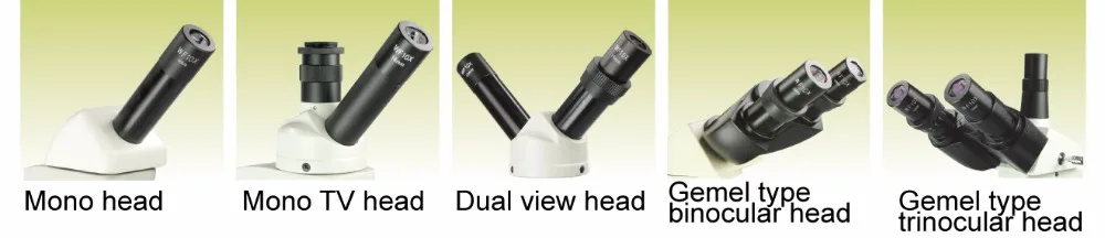 PH50 head