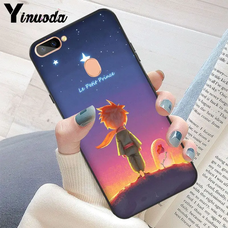 The Little Prince and the Fox