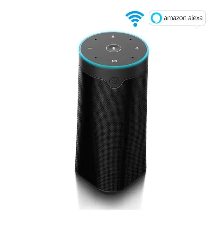 google home mp3 player