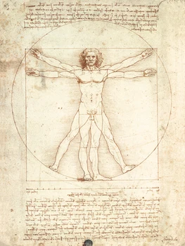 

home decor posters portrait canvas painting home art modern decorative pictures masterpiece Vitruvian Man By Leonardo da Vinci