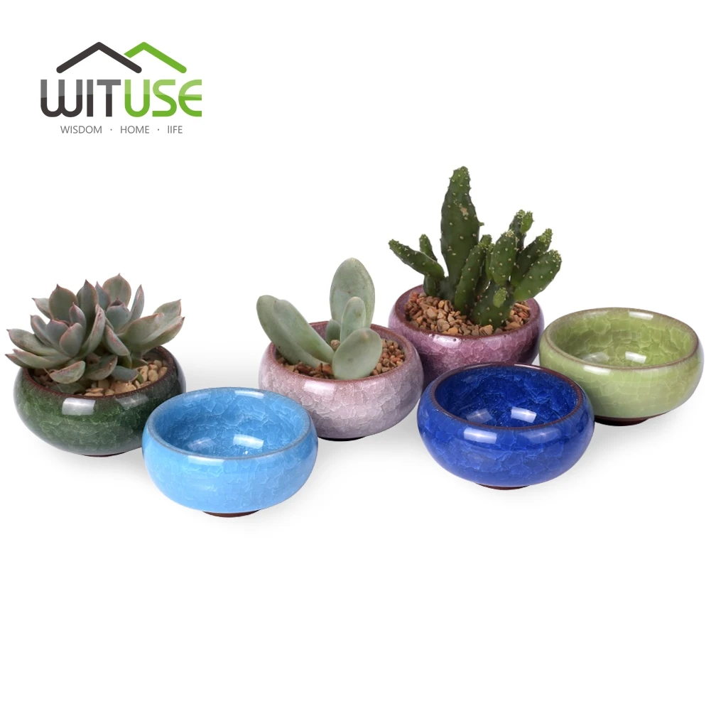 WITUSE Cheap! Lovely Ceramic Cactus Bonsai Mini Micro Landscape Artificial Flowers Succulent