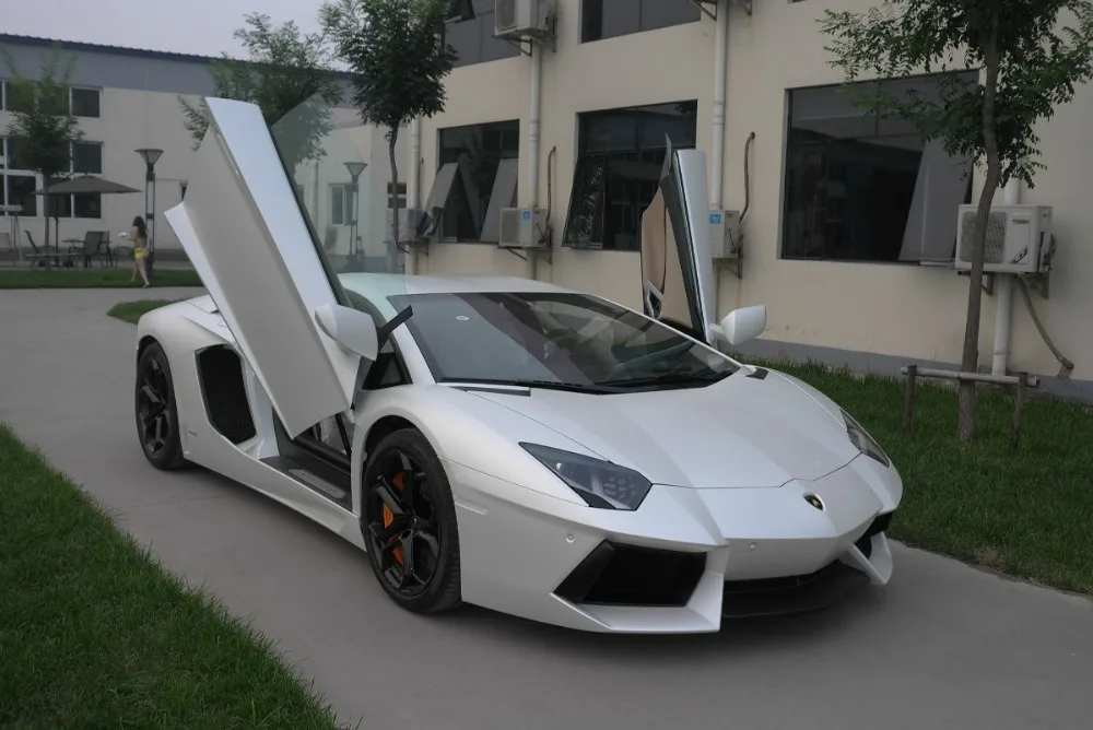 

Vertical Door Kit / wholesale AUTO LAMBO DOORS for Elantra GLS 2016 car vertical