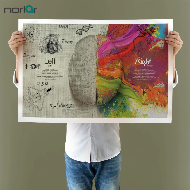 

Canvas Painting Left And Right Brain Differences Wall Art Education Poster Home Decor Canvas Print For Living Room NO FRAME