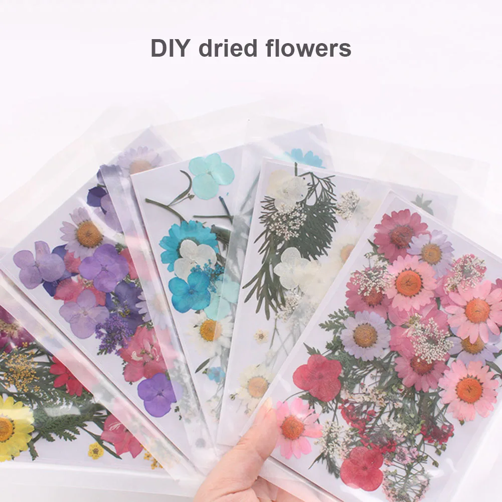 

Pressed Flower Mixed Organic Natural Dried Flowers Portable Collection DIY Art Floral Decors Collection Gift FPing