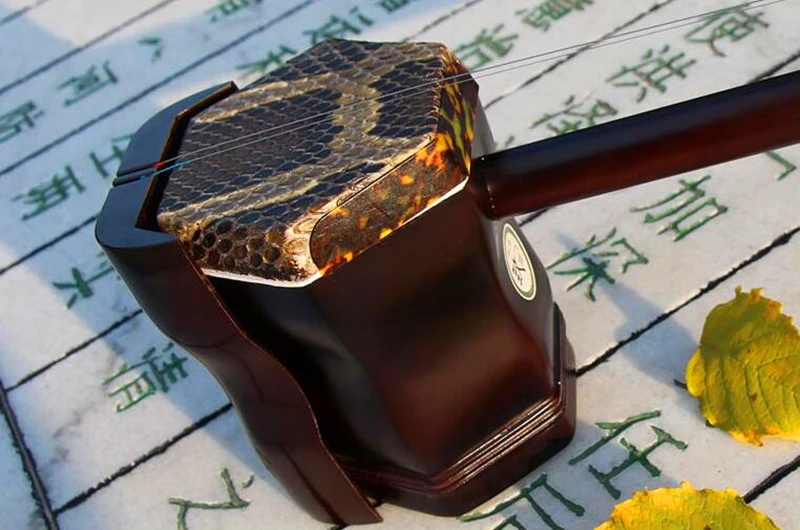 Chinese Folk Musical Instrument, Professional Erhu Accessories, Bag Bow, Folk, Huqin, Strik, Muziek