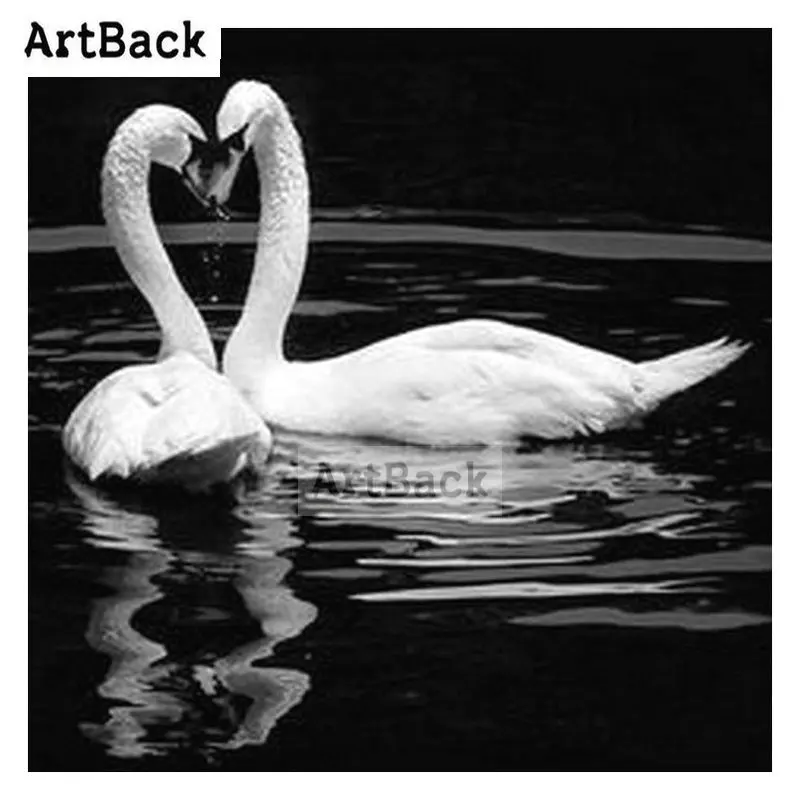 ARF (262)