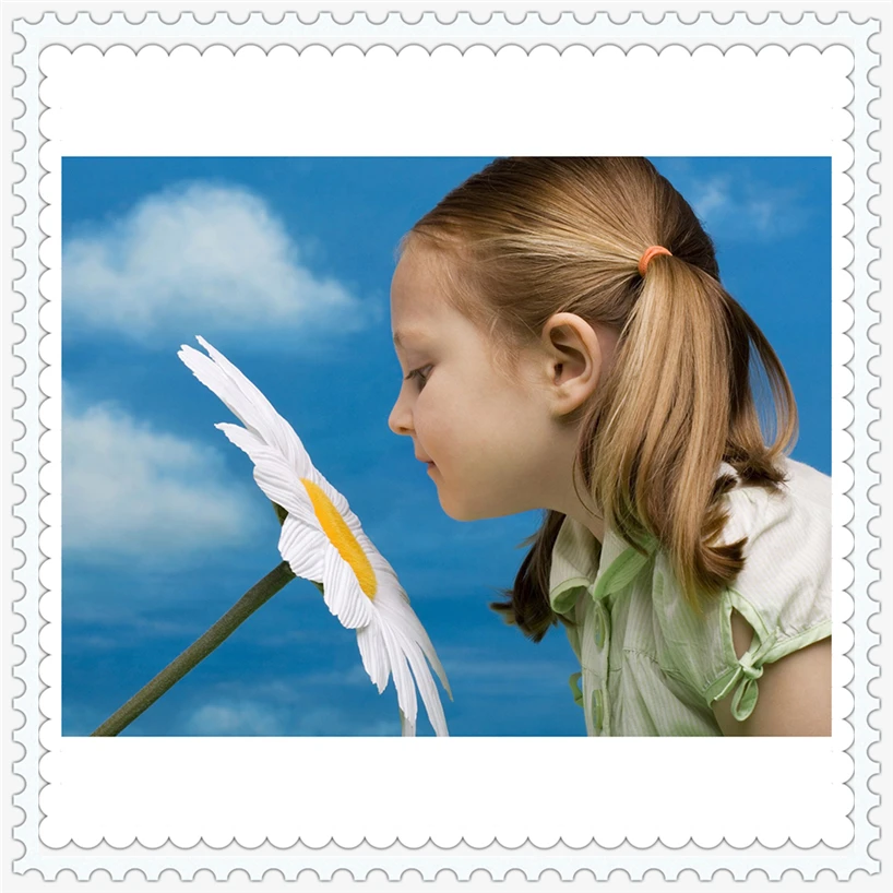 Smell daisy little girl,Diamond Embroidery 5D Diy Diamond Painting Cross Stitch Full Rhinestone Mosaic Needlework Gift YF1396 Smell daisy little girl,Diamond Embroidery 5D Diy Diamond Painting Cross Stitch Full Rhinestone Mosaic Needlework Gift YF1396