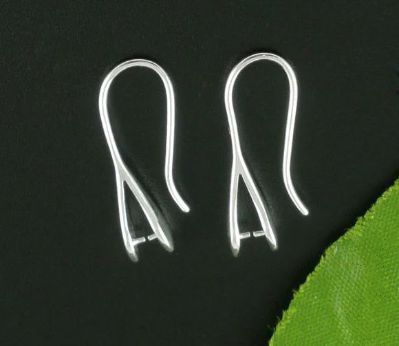 

DoreenBeads 5 Pairs SP Ear Wire Hooks 25x13mm Nickel FREE (B07178)