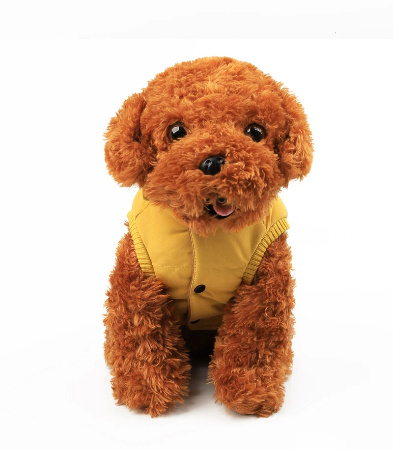 17 clothing for dog 