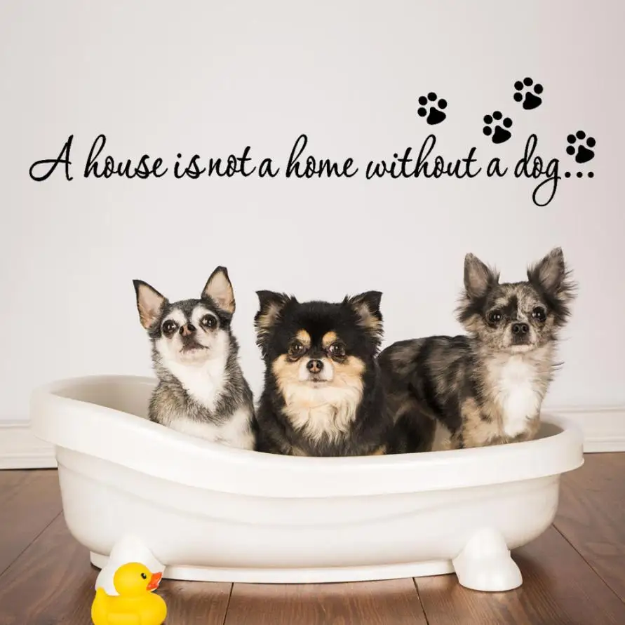 

ZOOYOO wall Sticker butterfly House Is Not a Home Without Pet Quote Wall Decal For Home Decor Pet Dog Sticker L629