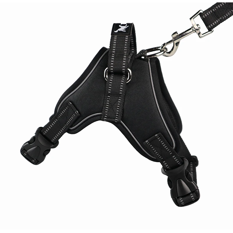 7791805083_1115757133