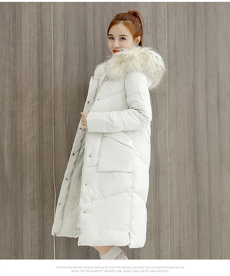 Cotton03_16.jpg