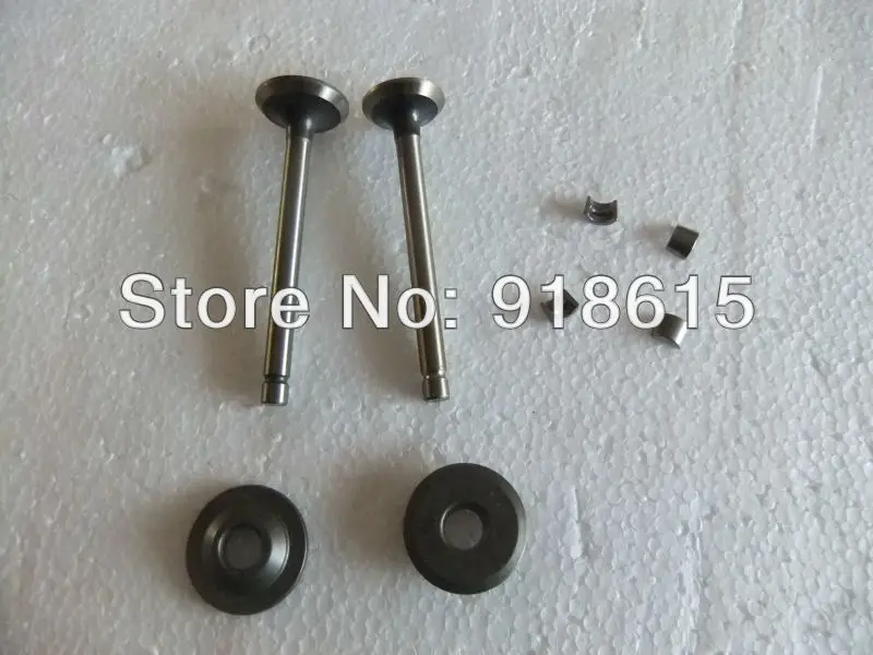 

EH12 EH12-2D EH12-2B A PAIR VALVE FIT MIKASA RAMMER ENGINE PARTS
