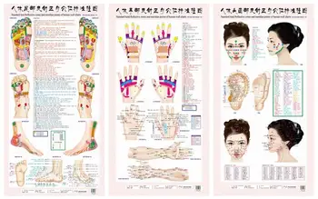 

AStandard Meridian Acupuncture Points Chart and ZhenJiu Moxibustion Acupoint Massage Chart for Head Hand Foot Body Health Care