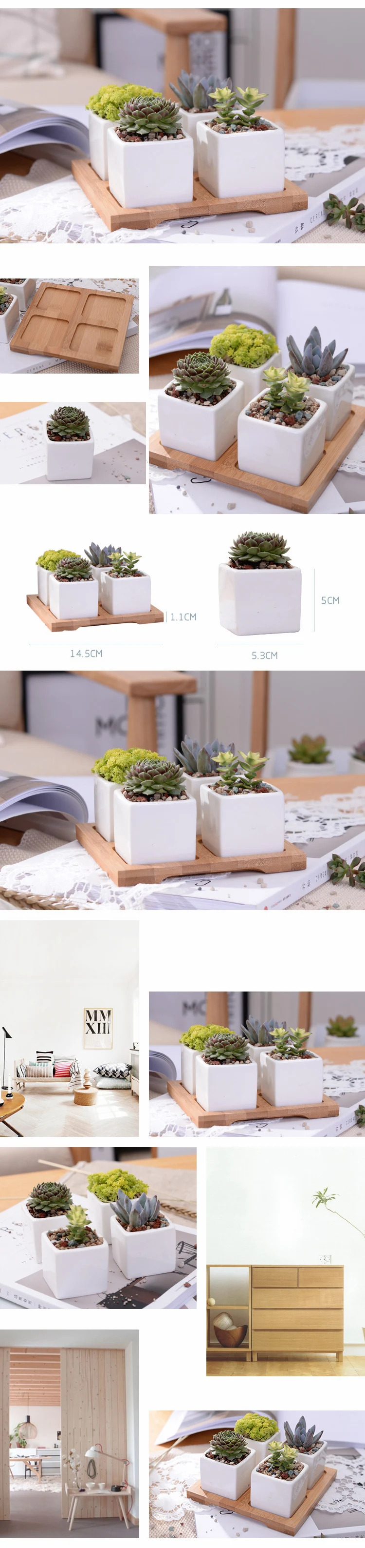 3811735456_675057837