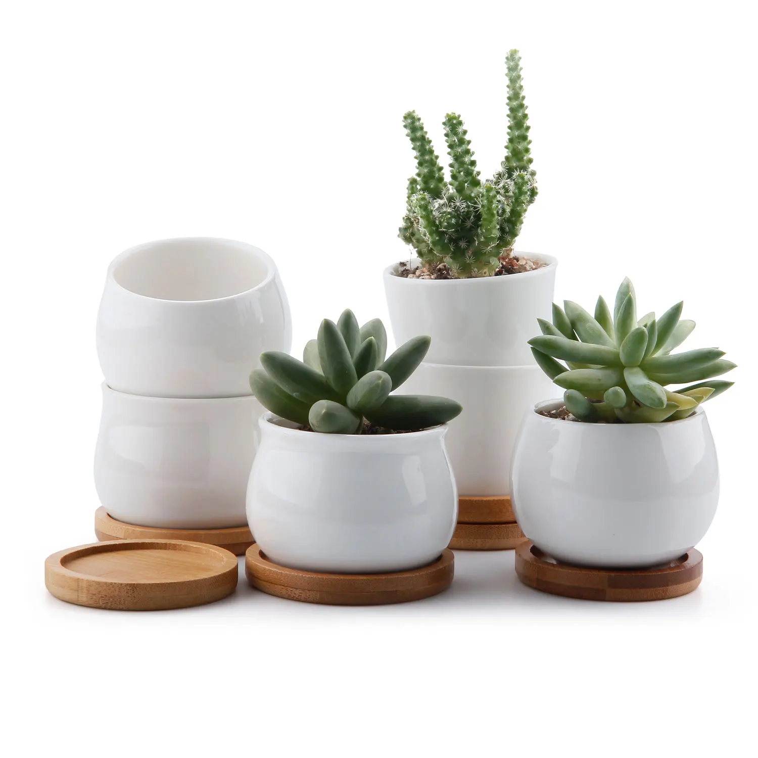 T4U Ceramic succulent planter maceta bonsai Plant Pot