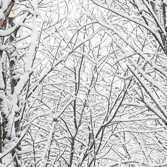 il_570xN.1128522272_5tt8