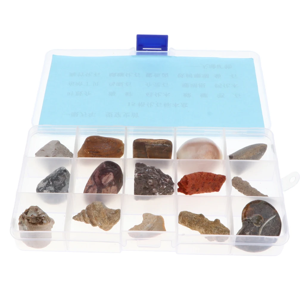 

Rock Mineral Collection Real Specimens Archaeology Paleontology Science Toy - Pack of 15