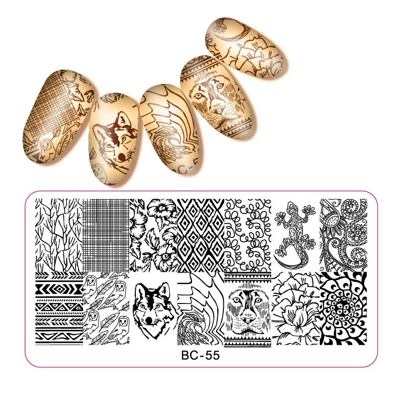 BC55-2