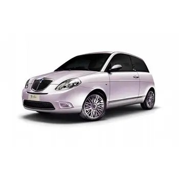 

EUR Front turn signal lights For Lancia Thesis Ypsilon replace Left Right indicator light ba15s bau15s 2pc