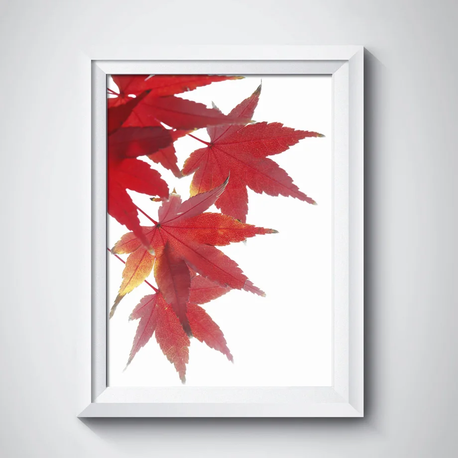 Waliicorners Wall Art Canvas Nordic Posters Pink Plant Mountain Forest Leaf Landscape Wall Pictures Home Decor 8 HTB1NnWLa.zrK1RjSspmq6AOdFXam