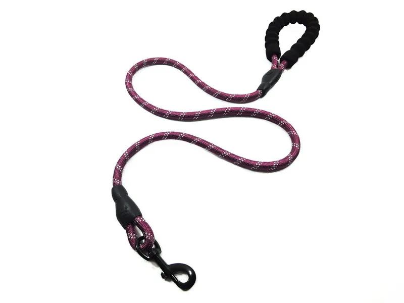 dog leash and chain 