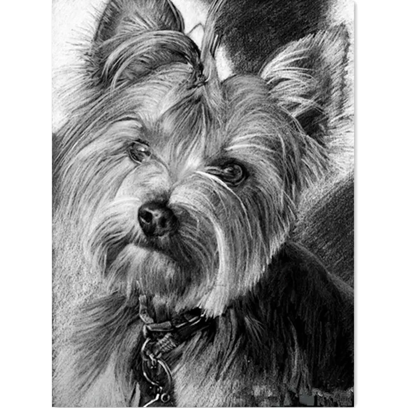 5D Diamond Painting dog black and white Cross-Stitch mosaic patterns rhinestone painting kit diy diamond Embroidery sale | Дом и сад