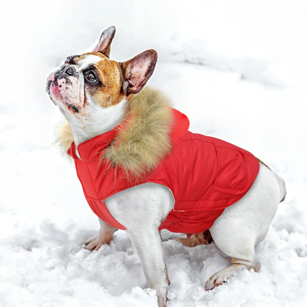 Зимняя одежда для собак, теплая куртка, водонепроницаемая куртка, толстовки для чихуахуа, питбултерьеров, маленьких и средних собак, щенков