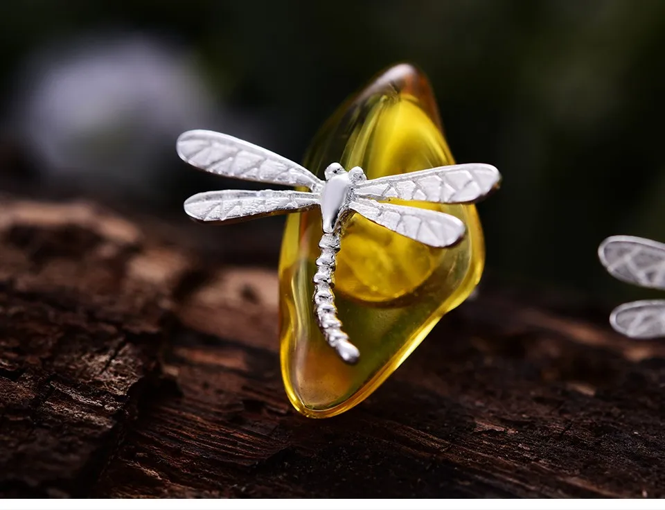 Cute-Dragonfly-LFJA0052_07