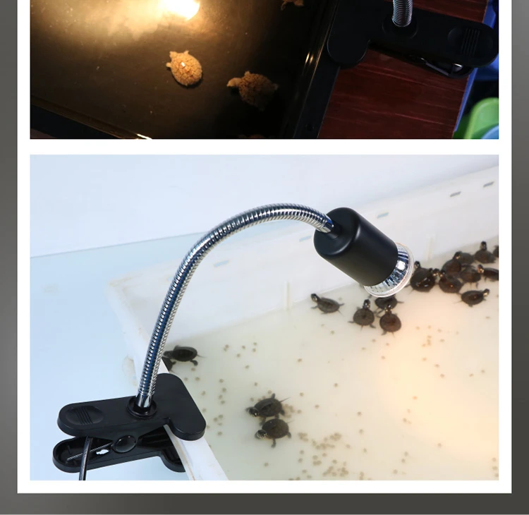 TB2y0BEaKnAQeBjSZFGXXazoFXa_!!182394