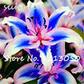 HTB1No4gRVXXXXbqapXXq6xXFXXXj