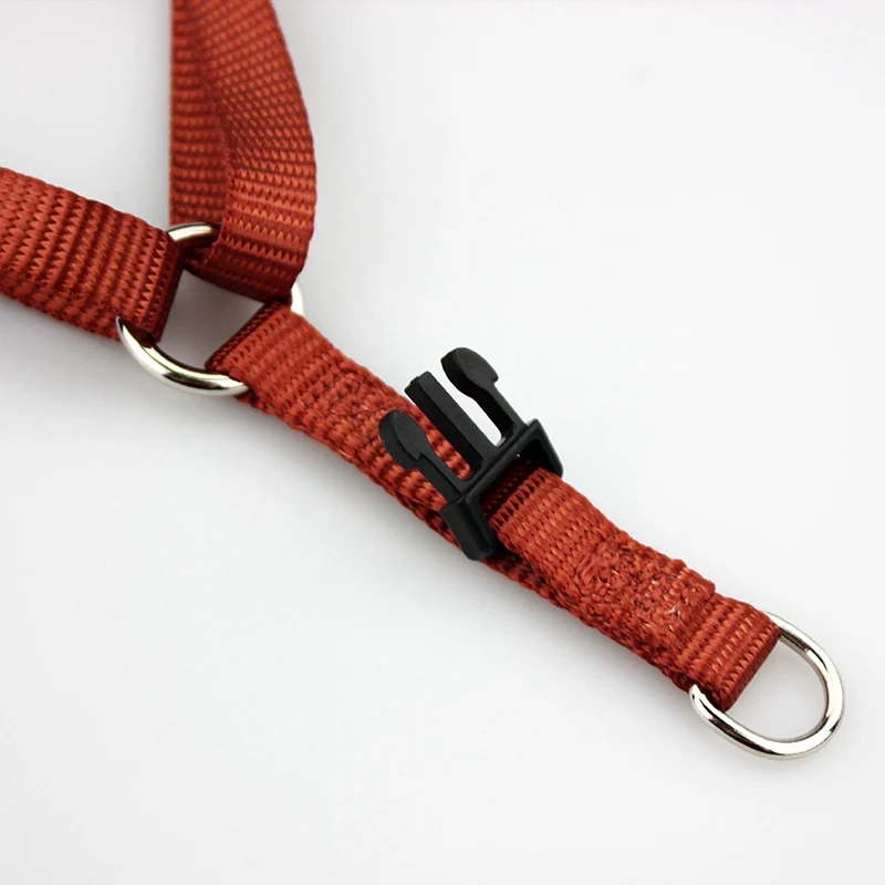 dog harness (33)