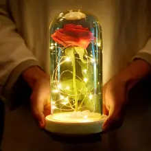 Террариум розы стеклянные растения цветы Красавица и Чудовище красная Очаровательная Роза цветочная лампа купол розы украшение для дома подарки