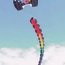 Воздушный змей программное обеспечение воздушный змей цвет программного обеспечения кулон