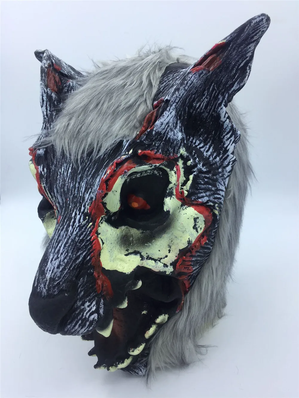 8569512434_1577701540