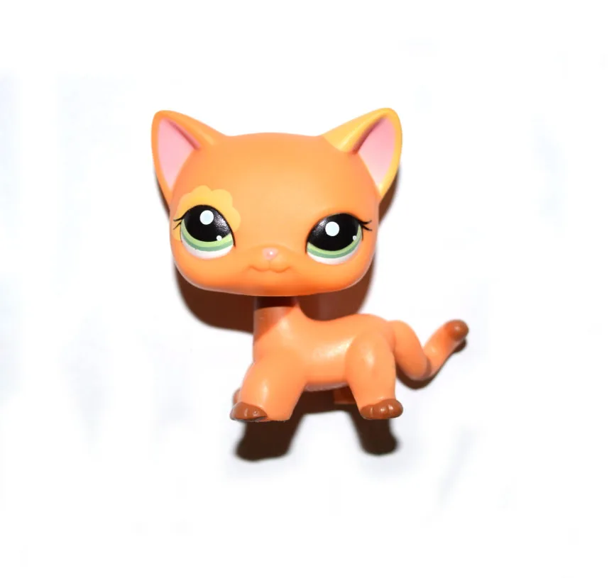 PinkEarsFlowerGreenEyesOrangeCat