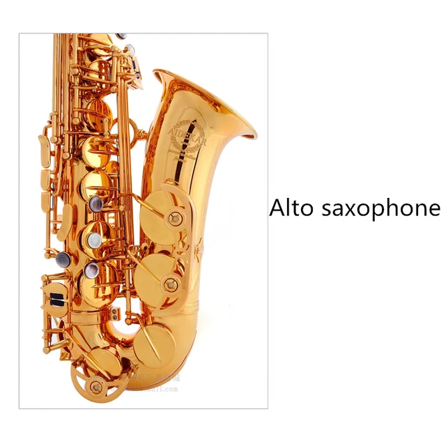 Cheap VECKY AAS-600 alto saxophone Sax customized brassgold design from SELMER alto saxophone 802