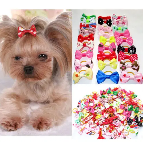 20 unids/set de Gato perro lazos de cabello con bandas de goma aseo accesorios pequeños animales decoración de Hábitat