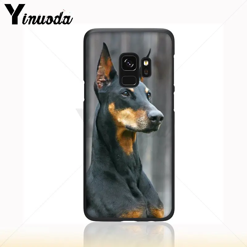 Dachshund Silhouette Dog