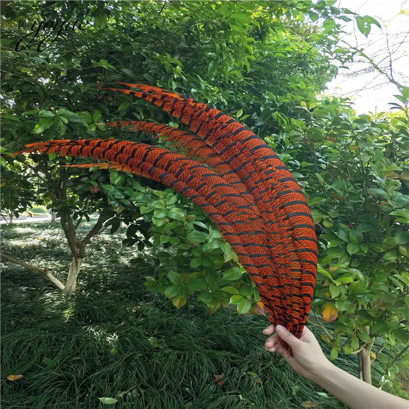 

20pcs 36-40inche/90-100cm Natural Lady Amherst Pheasant Feather Orange pheasant feathers for carnival party costumes decoration