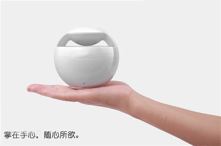 2437263290_1633068230