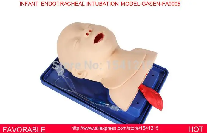 AIRWAY MANAGEMENT MODEL, ENDOTRACHEAL INTUBATION TRAINER MANIKIN,INFANT ENDOTRACHEAL INTUBATION MODEL-GASEN-FAM0005