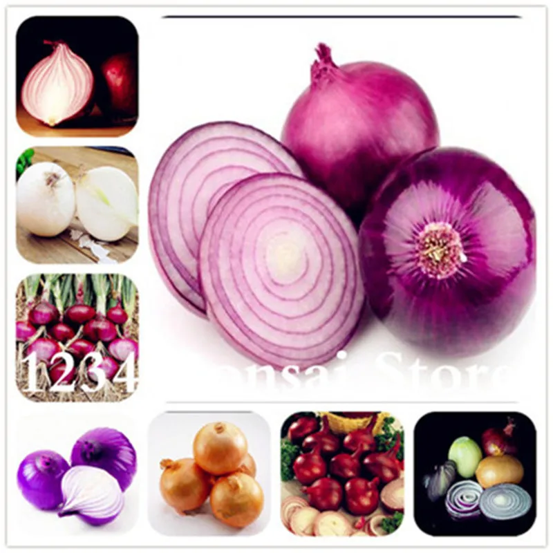 

Sale! 100 Pcs Fresh Giant Onion Bonsai Vegetable Bonsai Green Food Plant Germination 95% Giant Vegetable For Garden Bonsai