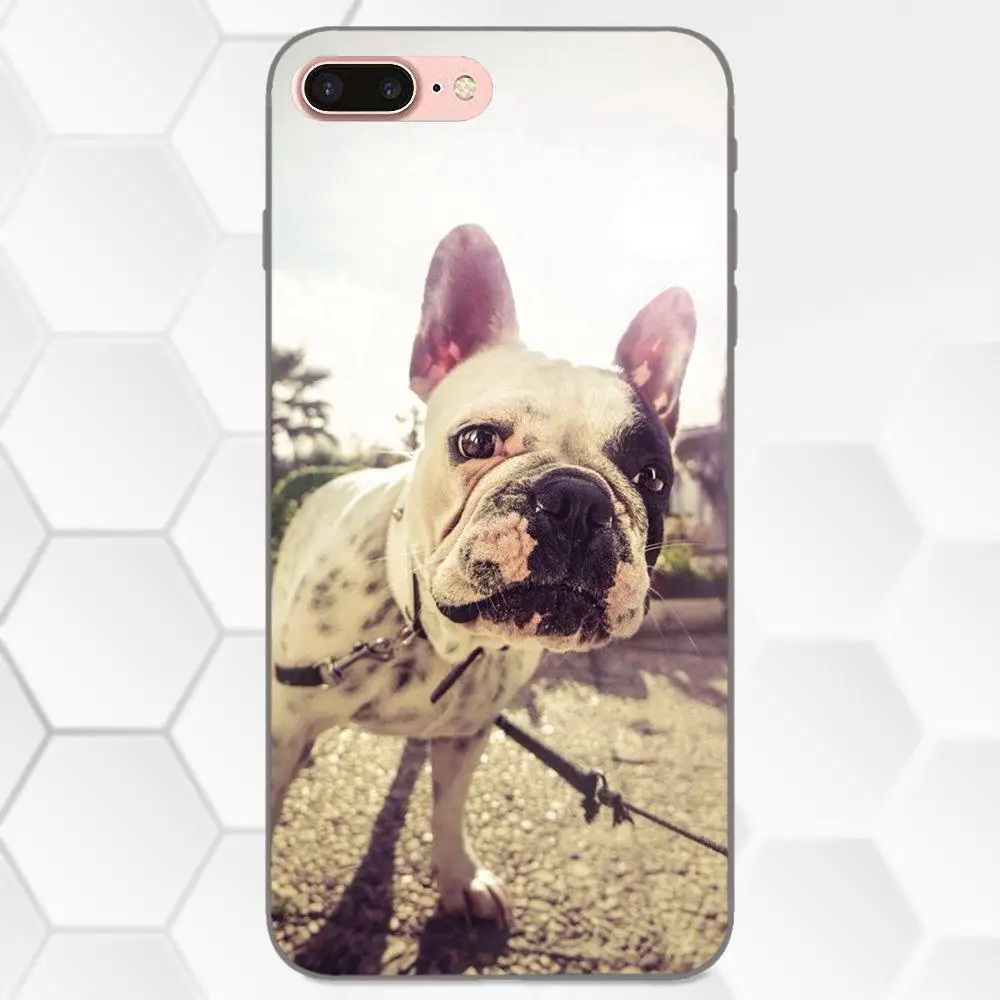 Чехлы с изображением милой собаки для Galaxy C5 C7 J1 J2 J3 J330 J5 J6 J7 J730 2017 Ace Core Duo Max Mini Plus Prime