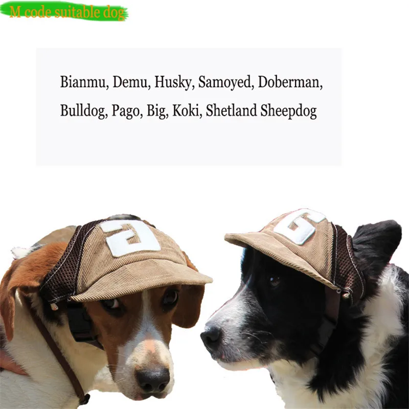 dog cap