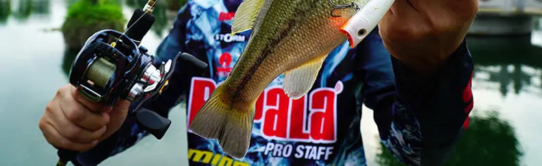 Rapala бренд Trail Blazer углеродное волокно Приманка Удочка 1,93 м 1,98 м L м мощность 4 секции Спиннинг/Литье удочка с удилищем сумка