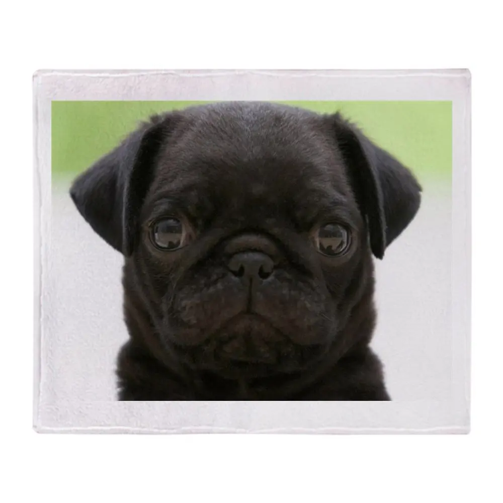 Black Pug Soft Fleece Throw Blanket Warm Cozy Bed Couch Lightweight