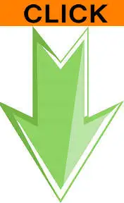 timg - 