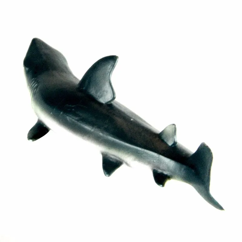 KK000055_03