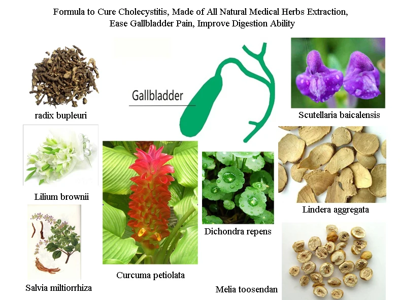 Gallbladder Medication Reviews Online Shopping Gallbladder Medication